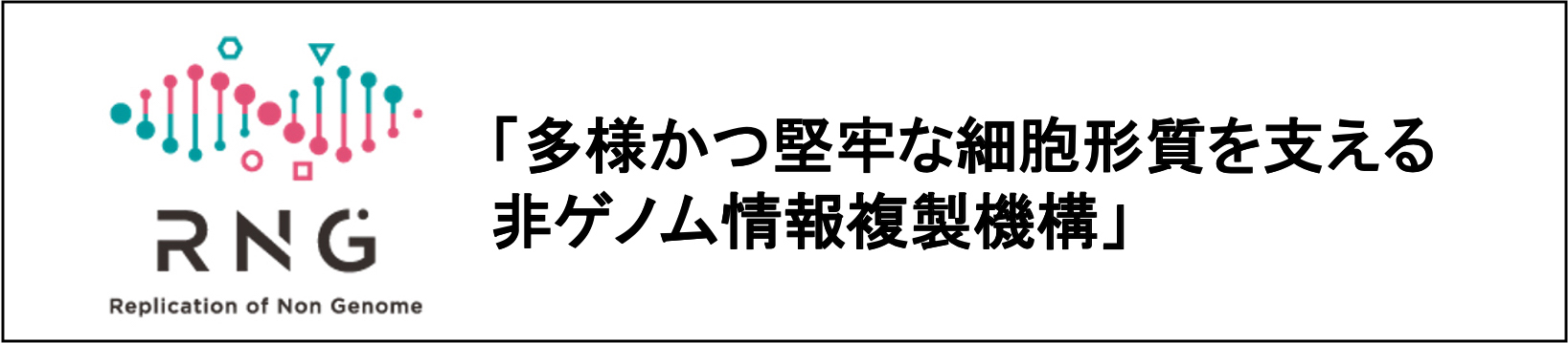 非ゲノム情報複製機構 新学術領域研究　多様かつ堅牢な細胞形質を支える　非ゲノム情報複製機構